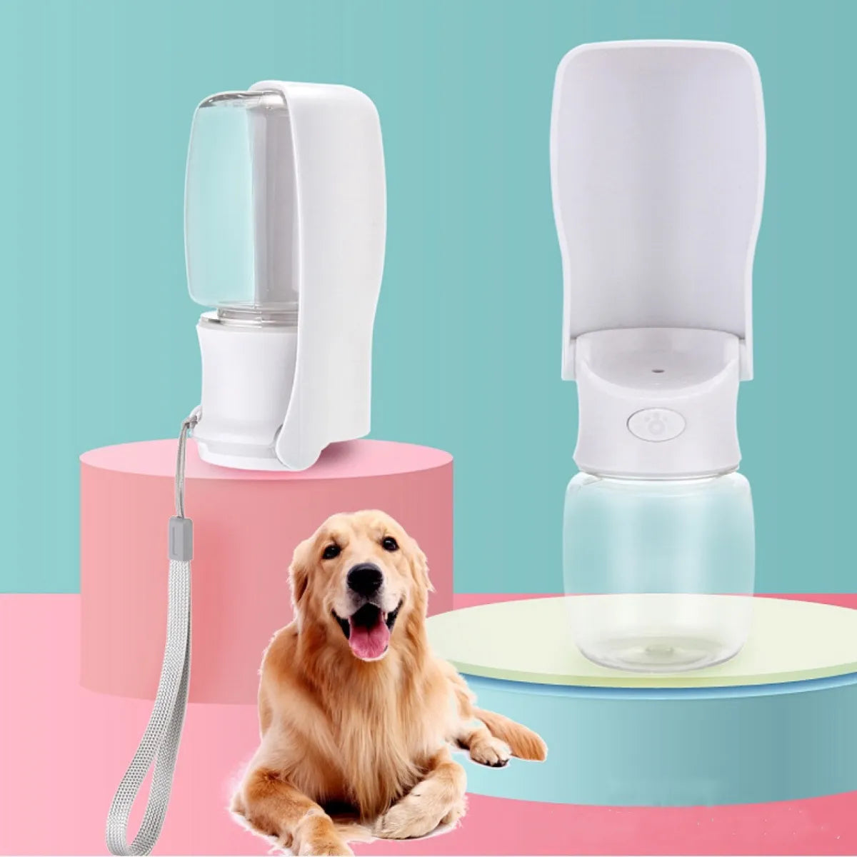Pet Feeders