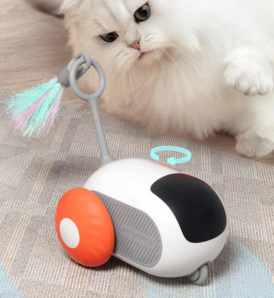 Remote Control Interactive Cat Car